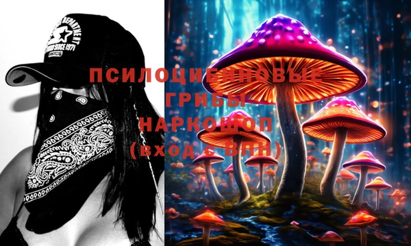 mix Новодвинск