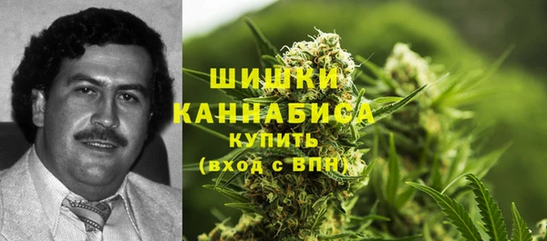mix Новодвинск