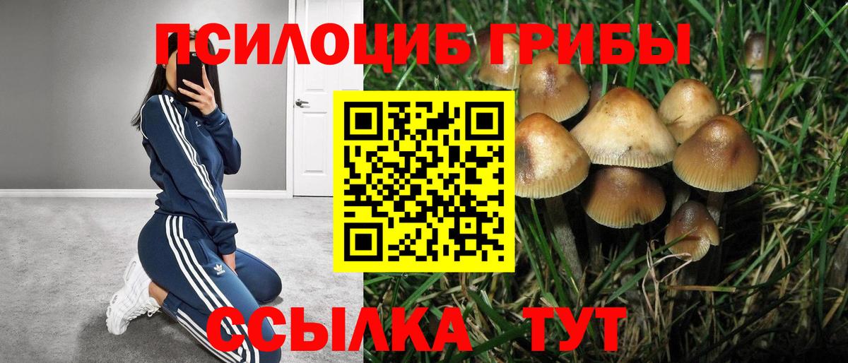 Кызыл  Марихуана  МЕФ   Экстази  Вход с VPN  Меф  Cocaine  ГАШ  Лсд 25 